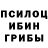Псилоцибиновые грибы Cubensis Denys Ostrovnoy